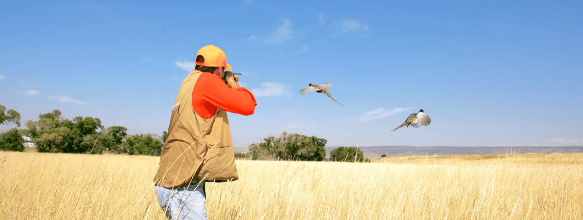 firstpheasant-hunt-header