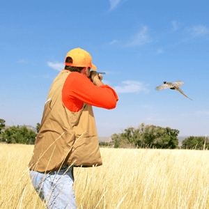 firstpheasant-hunt-square