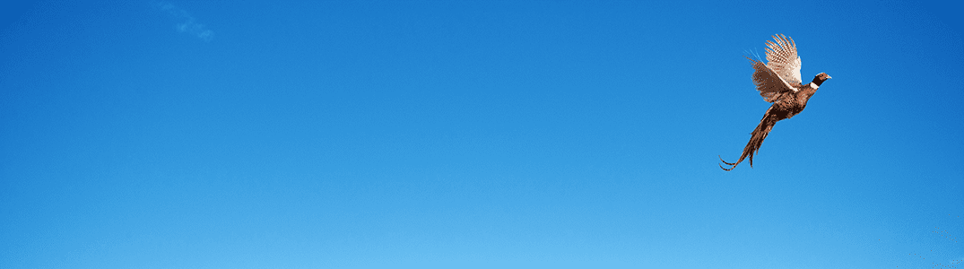 bannerparters