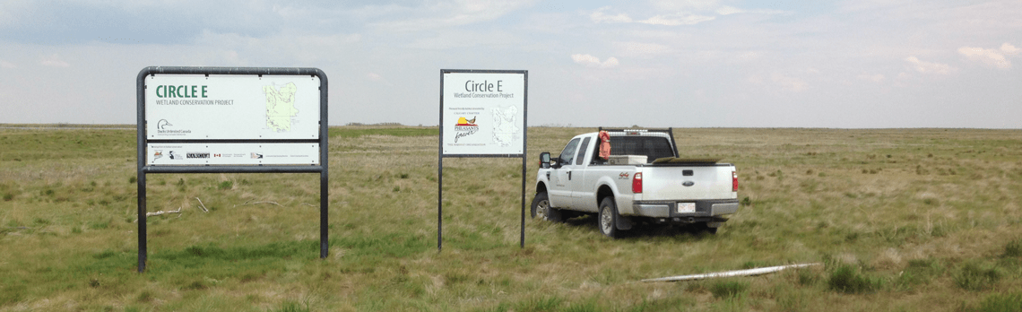 circle-e-banner