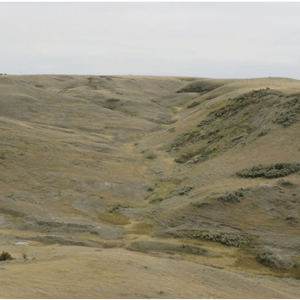 Chinook-Conservation-Site-4