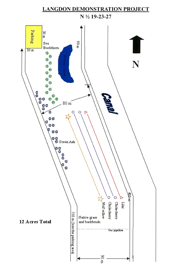langdon-sketch-plan