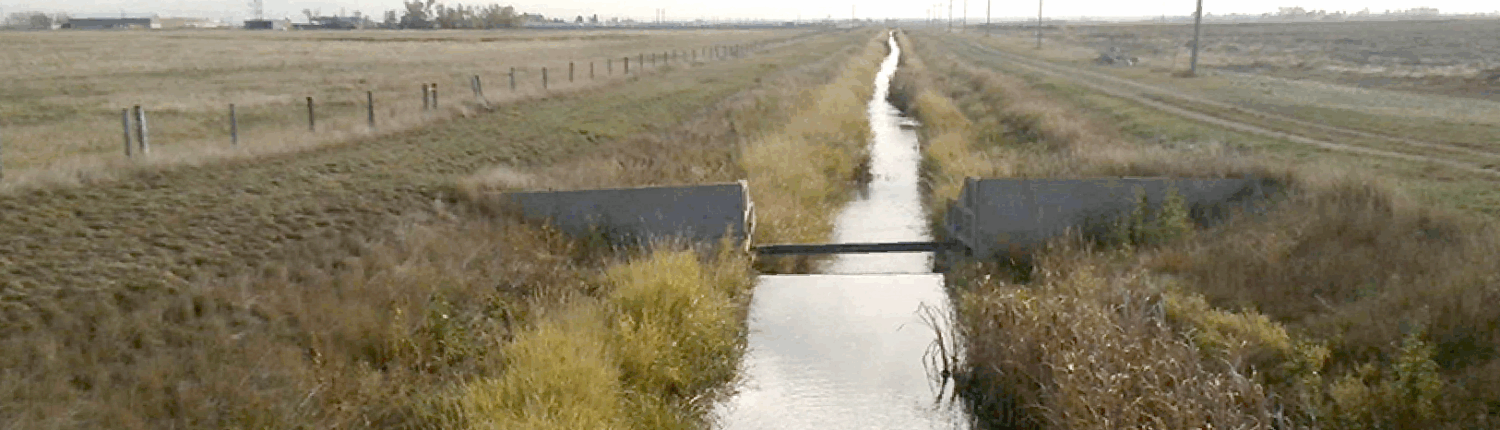 canal banner