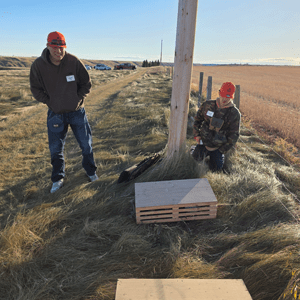 pheasant-crate