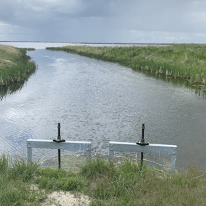 This new structure at Crab Lake was funded by Pheasants Forever Calgary two years ago, and guarantees water delivery to several wetlands across the EID North Pastures.