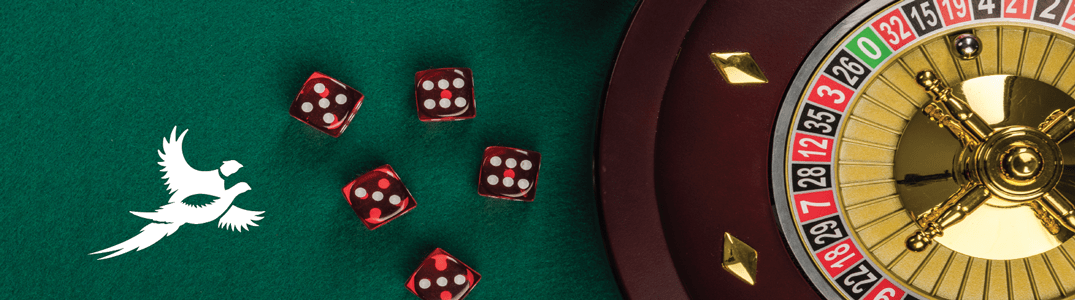 casino-web-banner